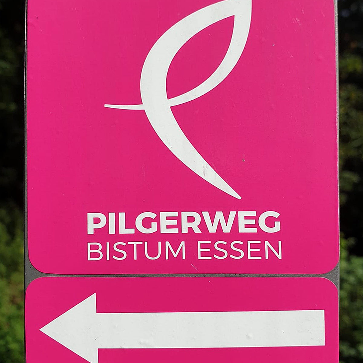 Der Ursulakreis auf dem Pilgerweg des Bistums Essen